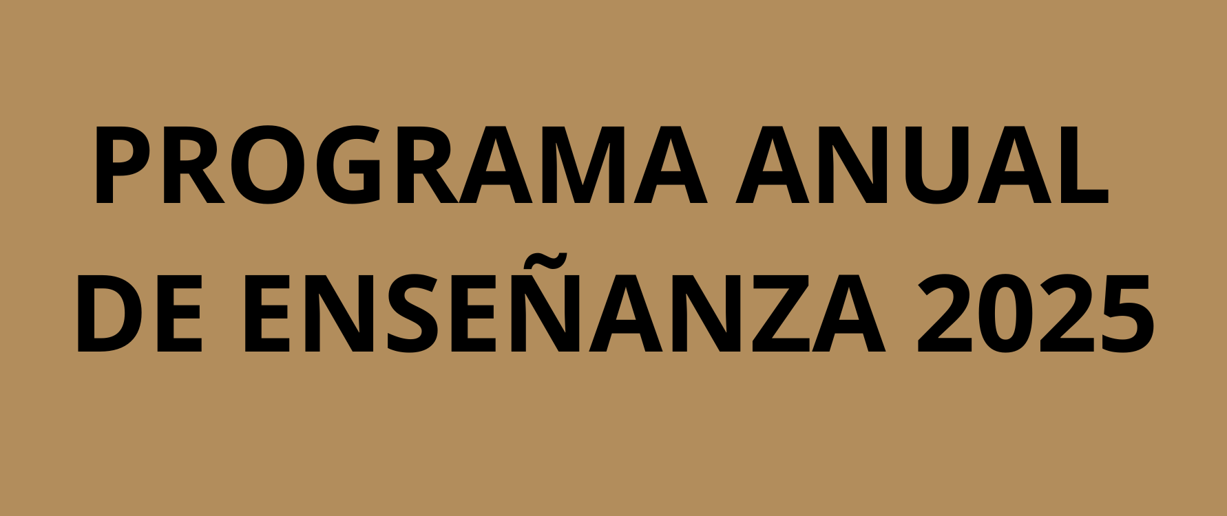 Programa enseñanza 2025