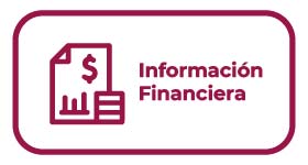Información financiera injudet