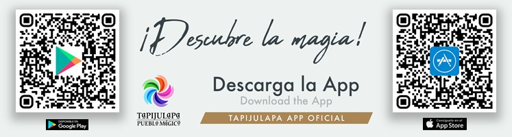 DESCARGA%20APP%20SITIO%20WEB.jpg